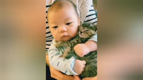 Cat and baby Funny Short training videos