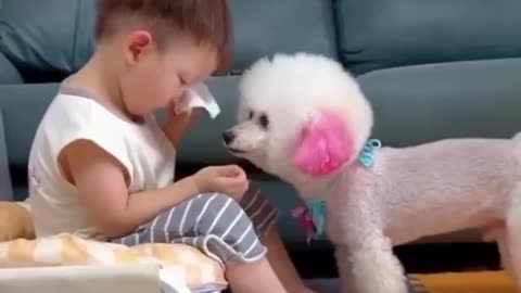 Cheer up little buddy it is going to be ok