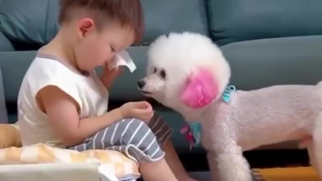Cheer up little buddy it is going to be ok