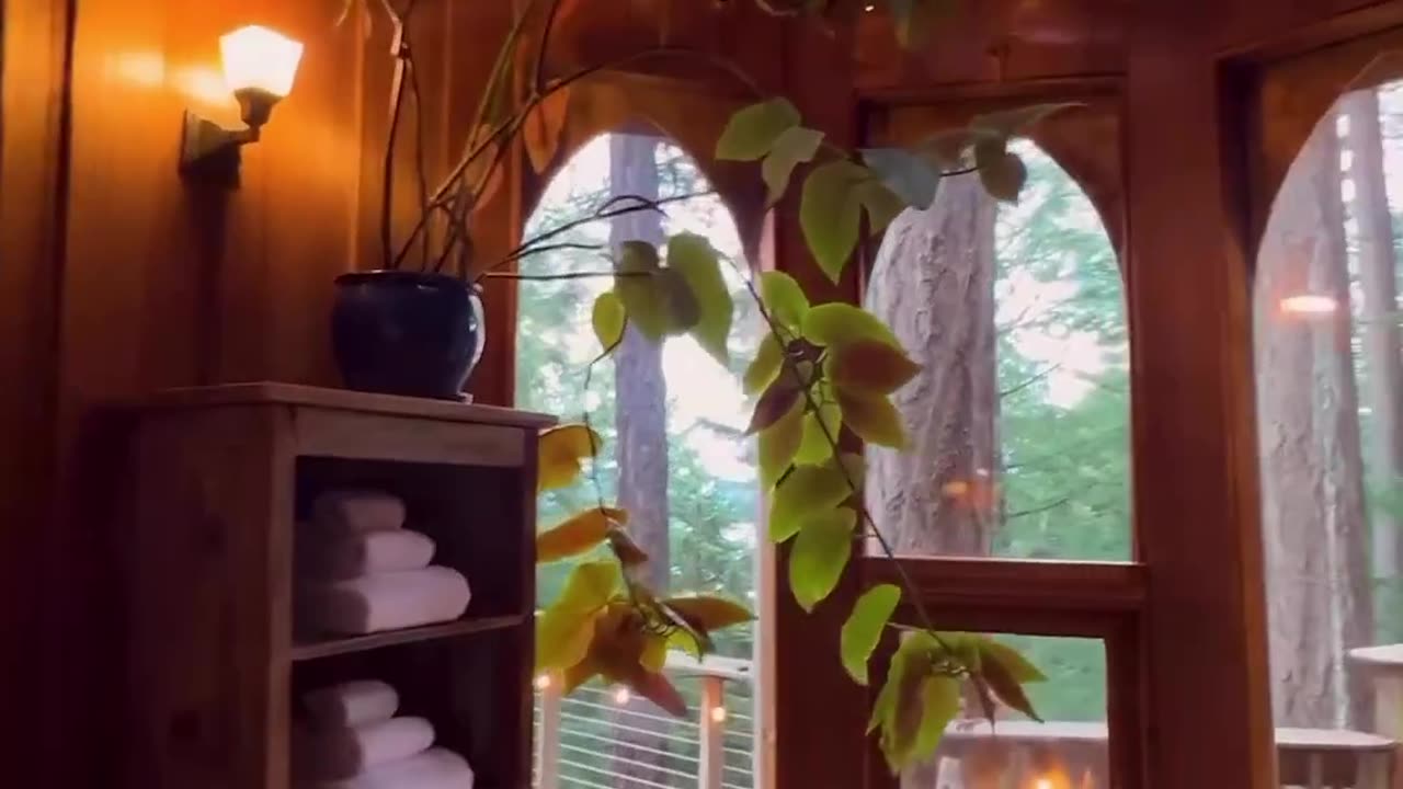 The Treehouse of Dreams in Washington 🌴. who'd you like to Stay with here?