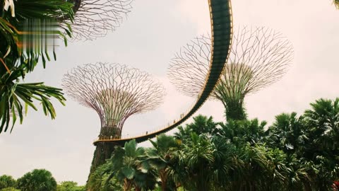Amazing Singapore