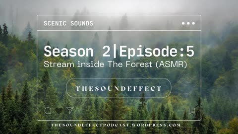 Scenic Sounds | Season 2: Episode: 5 | Stream inside The Forest (ASMR)