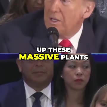 The Dark Side of Solar Fields: Environment at Risk?