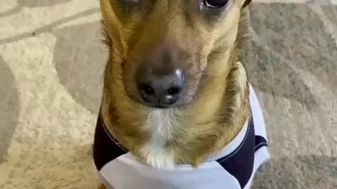 🥺🥺🥺