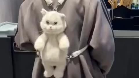 Cute bag🐱🥰#foryou #cute #tipsforgirls #funny #haha #giftideas #beautiful #fypシ