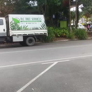 19.9.2024 Busy Kuranda