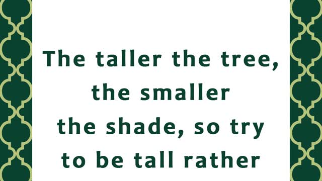 The Taller The Tree