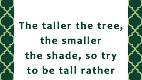 The Taller The Tree