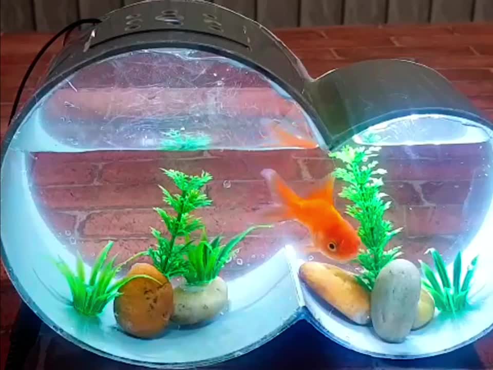 craft aquarium from used plastic pipes