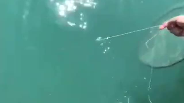 Best Asian Fishing video