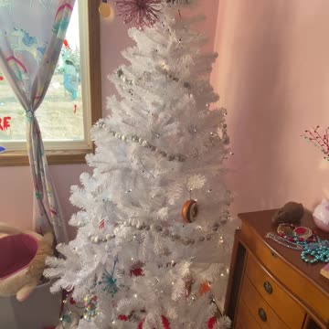 Finally putting away the Christmas tree