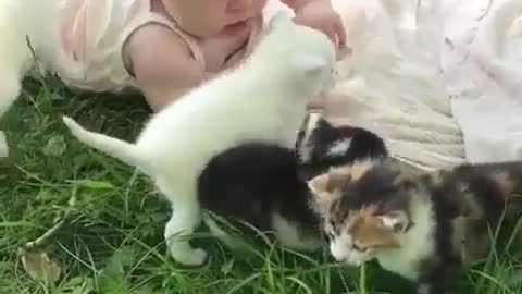 Four kittens playing with a baby