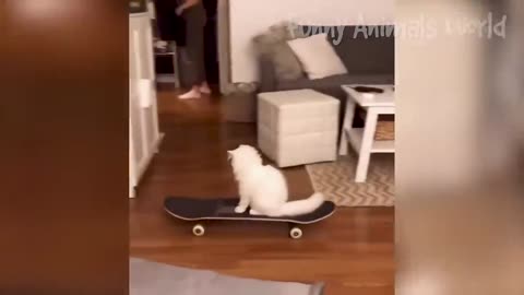 Funny Animal Videos 2023 😇 - Funniest Dogs and Cats Videos 😁 #3