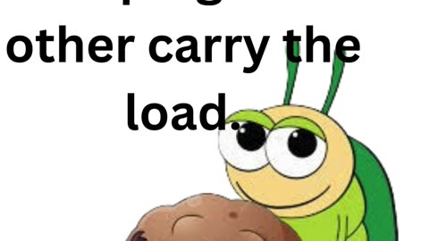 Love is Beetles