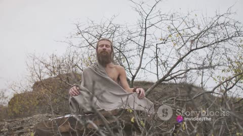 Stoicism Unveiled: The Philosophy of Serenity