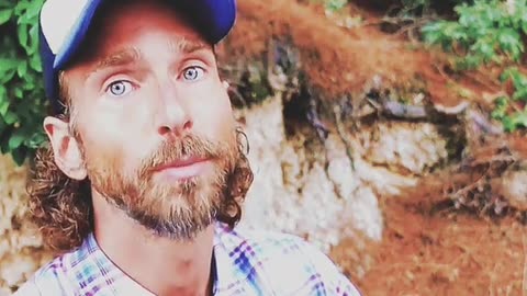 Oreganoöl - stärkstes natürliches Antibiotikum