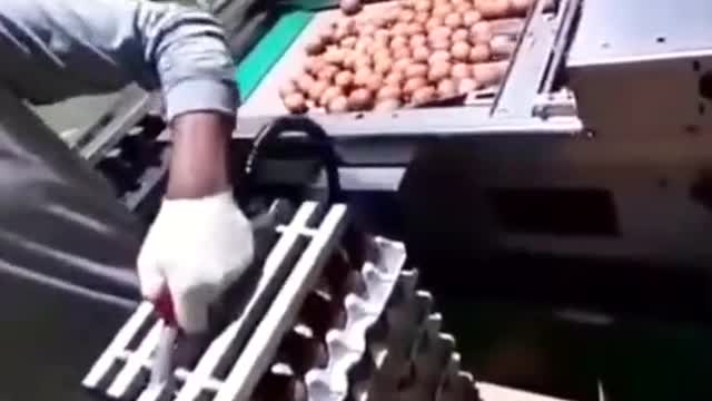 he had tired of it, had carried
