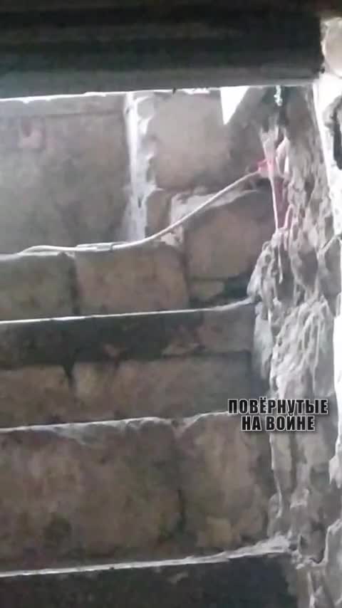 Crests are sitting in the storm cellars, hesitant to stick their necks out