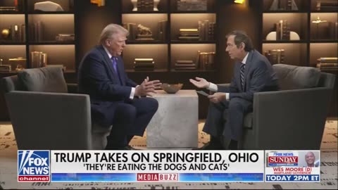 Fox host: You said ‘they're eating the dogs, they're eating the cats. That turned out not to be true