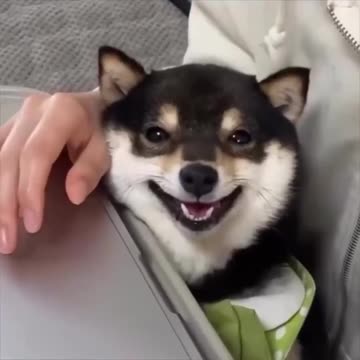 Loves the work from home idea