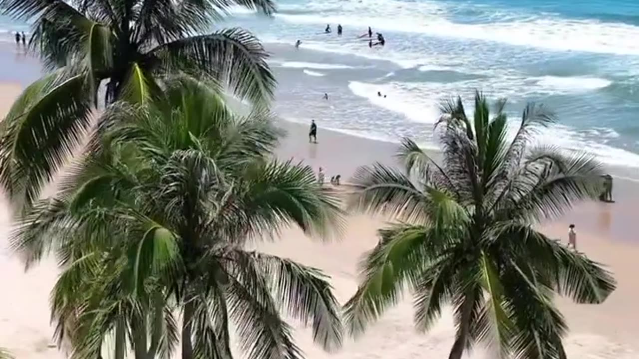 A beautiful sciene of the beach