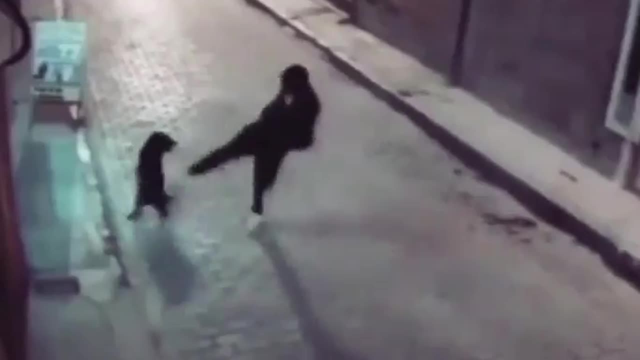 Instant Karma - For trying to kick a poor dog