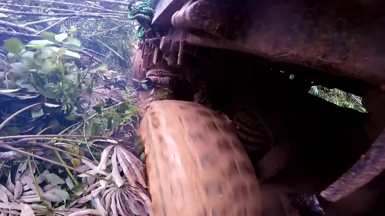 Deadliest Roads | Congo: Jungle Messengers | Free Documentary
