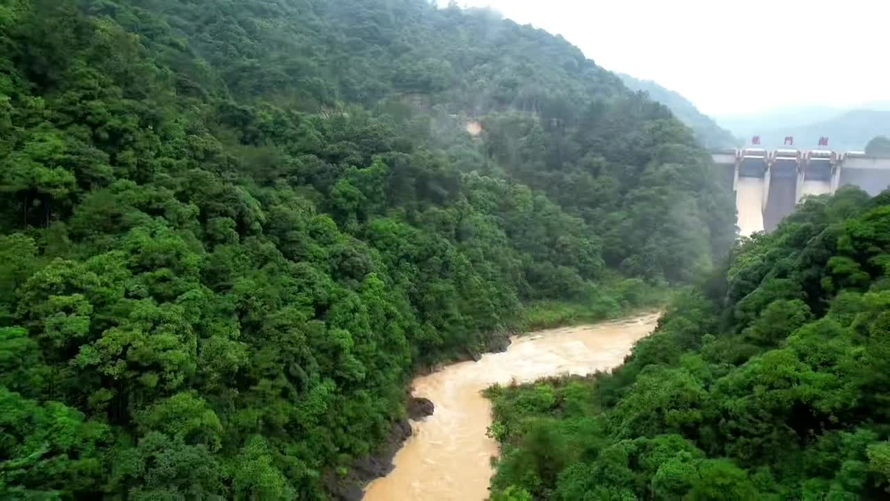 Nature beauty