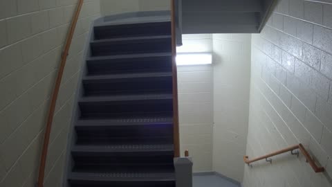 3878FHOB03Stair11_2021-01-05_02h20min00s327ms.mp4