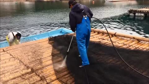 INCREDIBLE AND INGENIOUS Barnacles Removing From Ship.-SATISFYING Barnacles Removing Proces.[3].