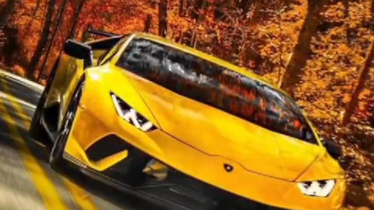 LAMBORGHINI car