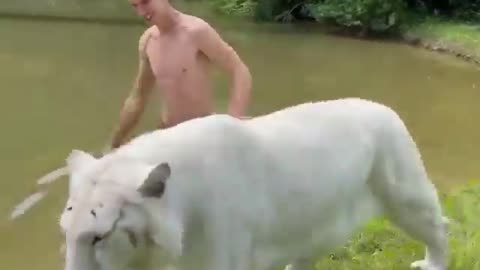 Cute and adorable animal behavior makes anyone happy to see it