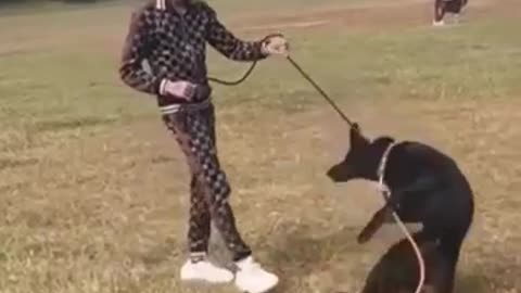 The man training a dog