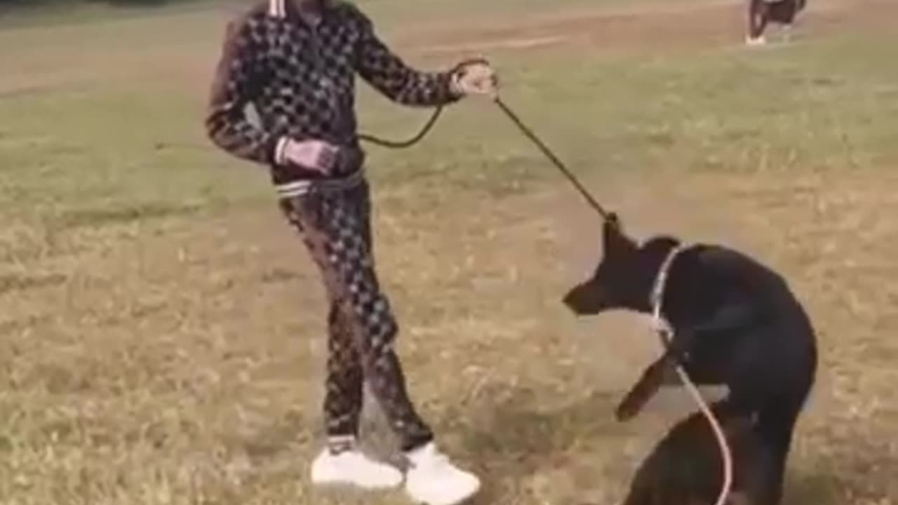 The man training a dog