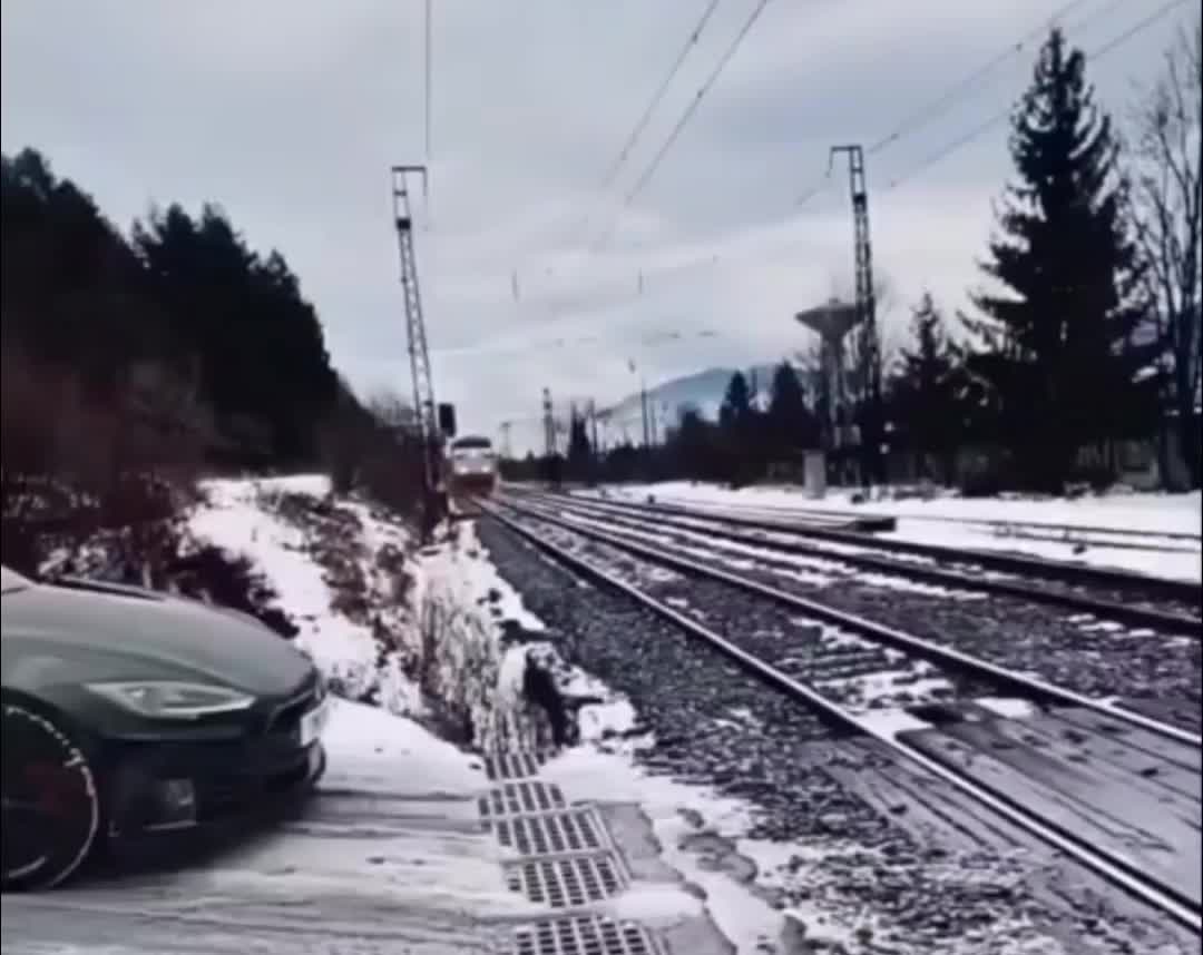 Tesla pulling out in front of a train