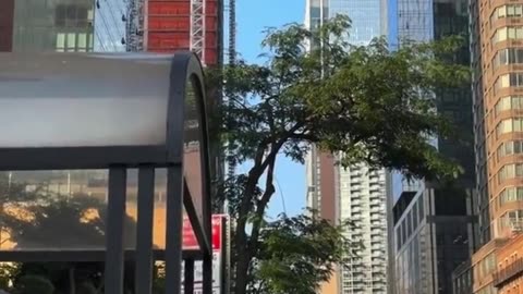 Construction crane in New York City catches fire, falls dramatically