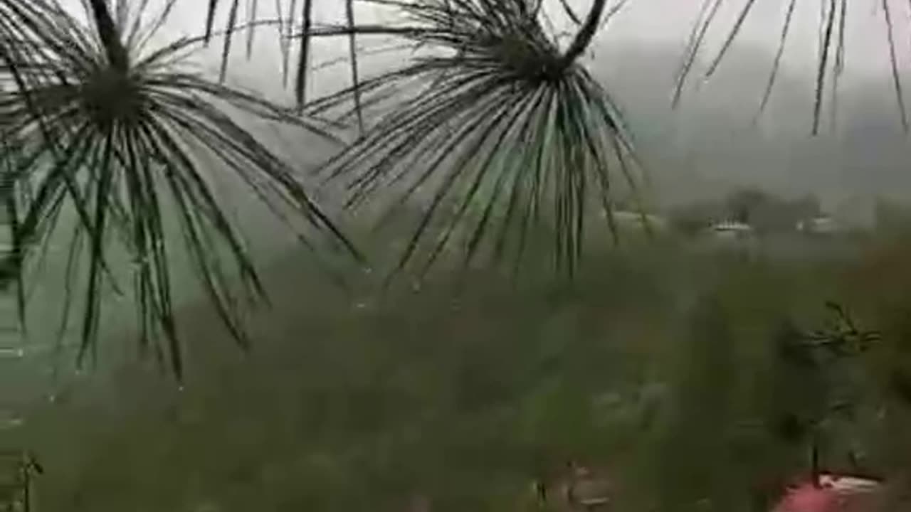 Enjoying rainy day