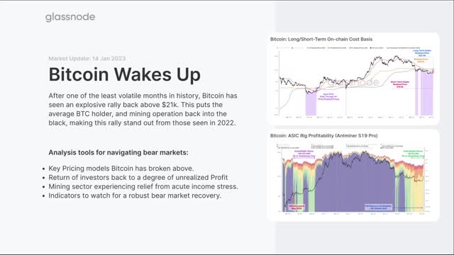 The Week On-chain: Bitcoin Realized Profits Return - Week 3, 2023 (Bitcoin Onchain Analysis)