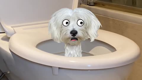 Skibidi Toilet music video Animation