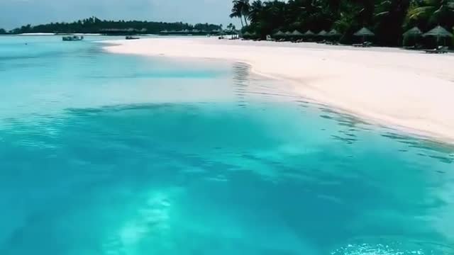 Diving in the beautiful paradise of Maldives