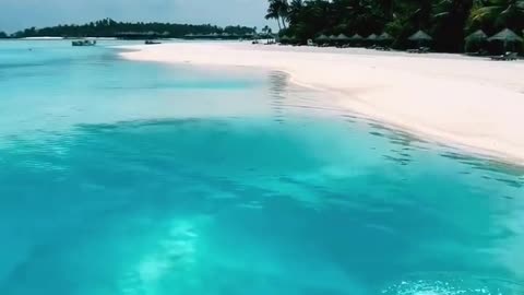 Diving in the beautiful paradise of Maldives