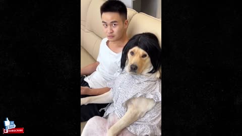 Best Funny Comedy Videos Tik Tok