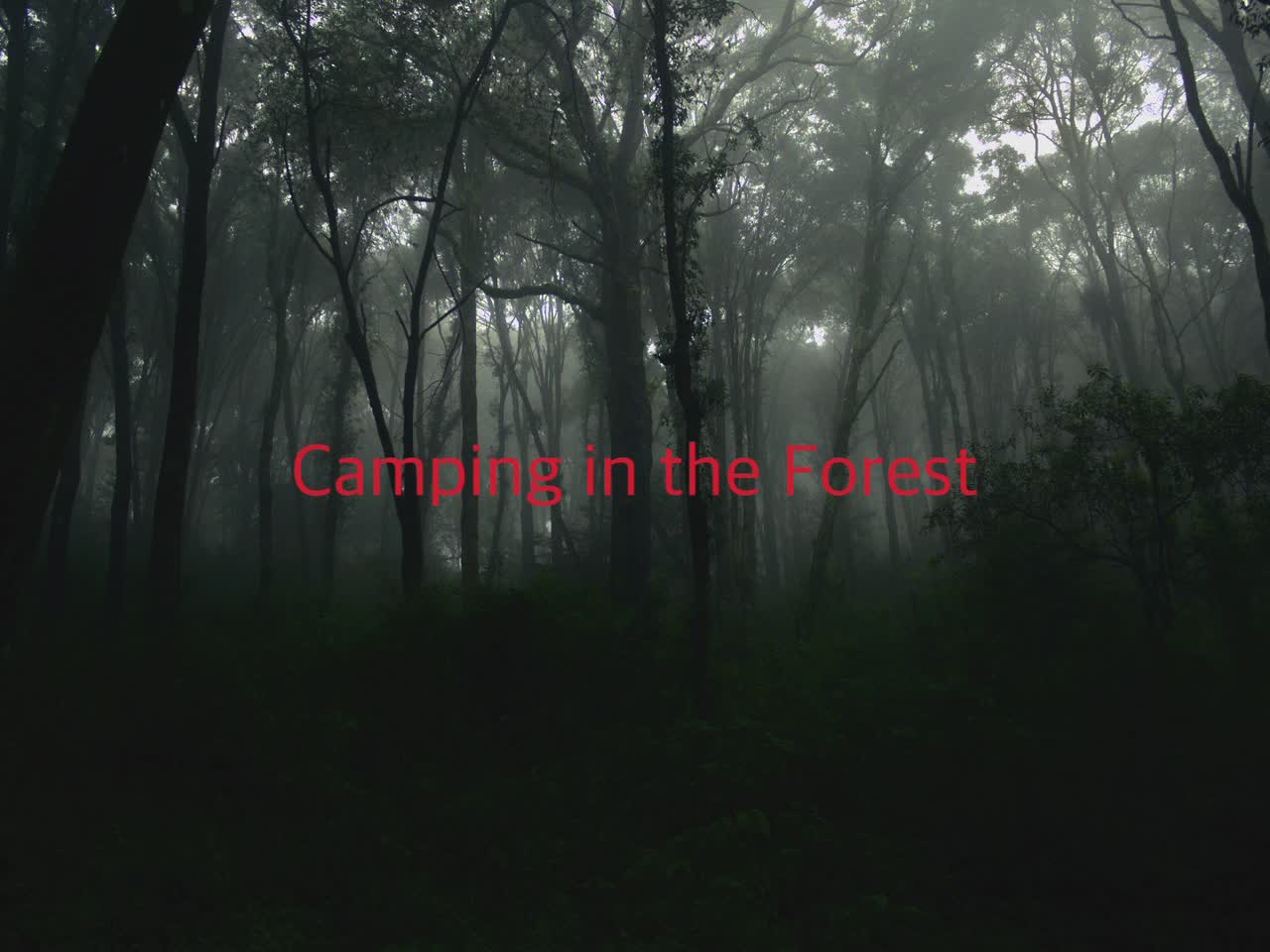 Camping in the Forest