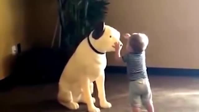 funny babies playing with dogs