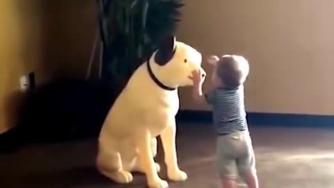 funny babies playing with dogs