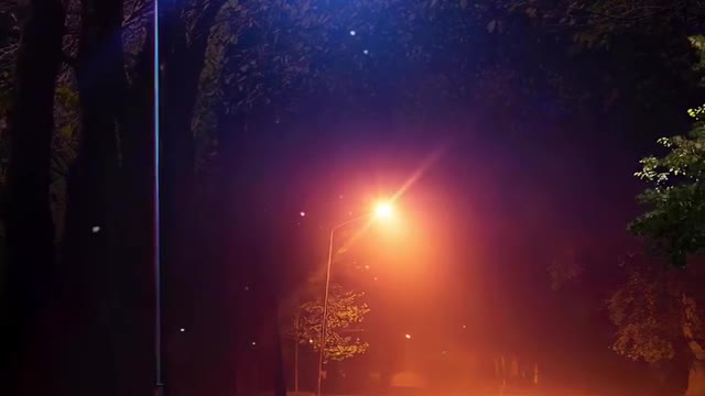 Singing Crickets under the lanterns