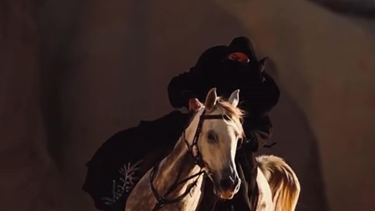 horse lover