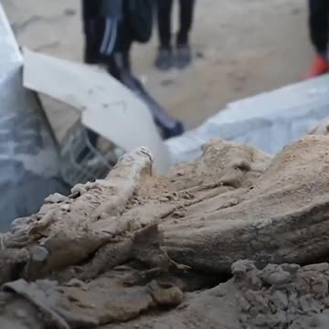 The Savage destruction of Gaza’s al-Shifa Hospital