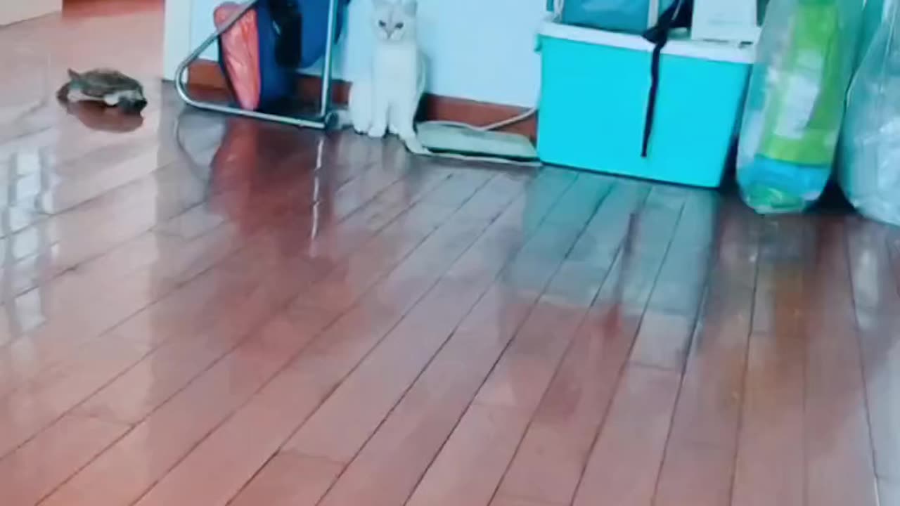 🤣🤣🤣