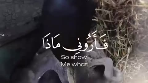 بلغوا عني ولو آية